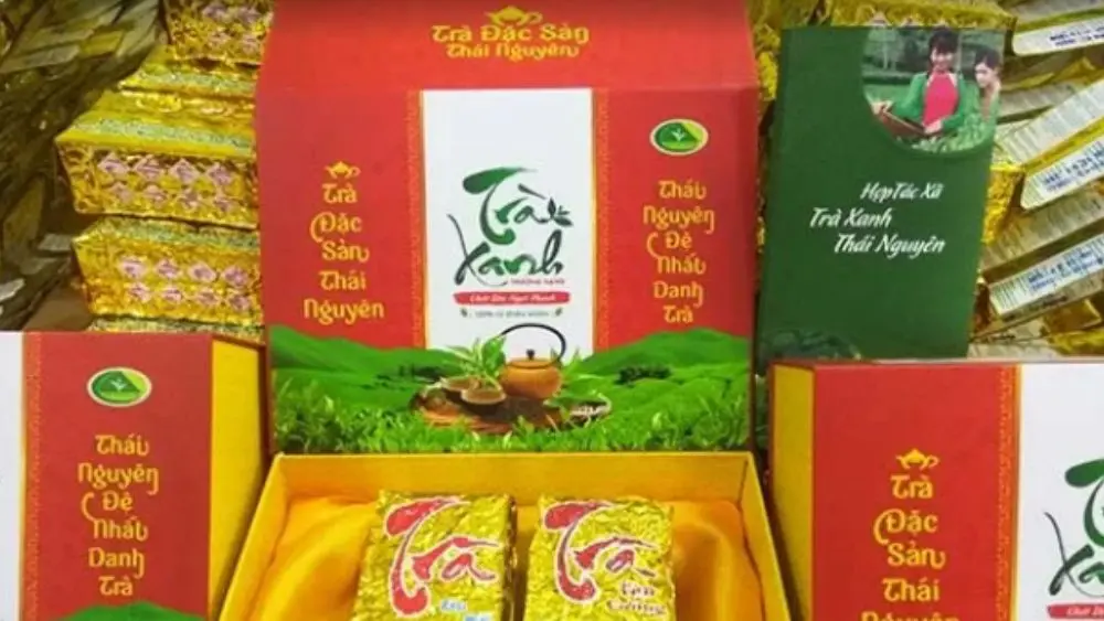 Đặc sản chè Thái Nguyên từng bước khẳng định giá trị, xây dựng thương hiệu và phát triển sản phẩm OCOP. Khám phá hành trình nâng tầm danh trà.