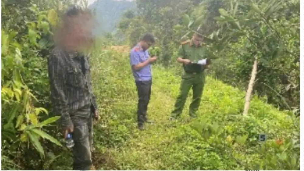 Khởi tố người đàn ông mua ma túy rồi lẩn vào rừng sử dụng tại Thái Nguyên. Công an đang tiếp tục điều tra, xử lý vụ án.