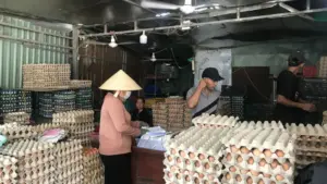 Giá trứng gà tại trại giảm còn 1.200 đồng/quả, trong khi vào siêu thị có thể tăng gấp ba. Vì sao chênh lệch giá lớn?