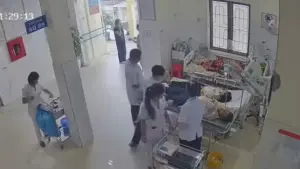 Hai vợ chồng ở Nghệ An nhập viện cấp cứu sau khi bị đàn ong tấn công khi làm nương, người vợ có 49 con ong mắc trên đầu.