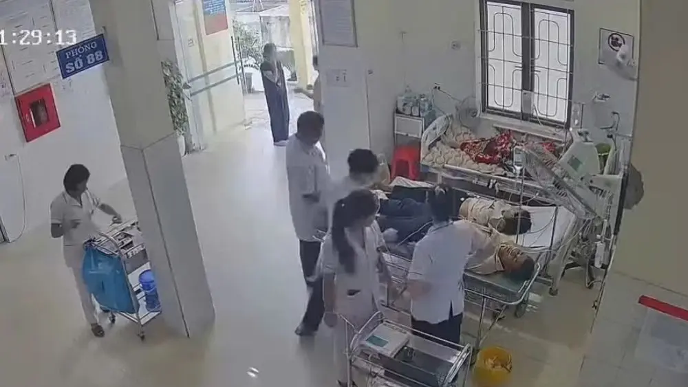 Hai vợ chồng ở Nghệ An nhập viện cấp cứu sau khi bị đàn ong tấn công khi làm nương, người vợ có 49 con ong mắc trên đầu.