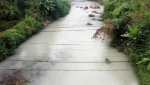 Nước sông Cầu tại xã Bạch Thông, Thái Nguyên chuyển màu trắng đục bất thường.