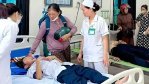 27 học sinh ở Quảng Trị nhập viện sau khi bị ong đốt do chọc phá tổ ong. Nguyên nhân vụ việc khiến nhiều phụ huynh lo lắng.