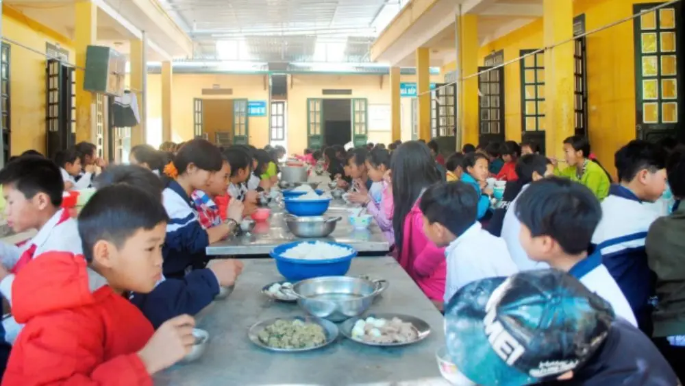 Đề xuất tăng hỗ trợ tiền ăn lên 1,17 triệu đồng/tháng, mở rộng đối tượng học sinh được hưởng chính sách. Tìm hiểu những điểm đáng chú ý.