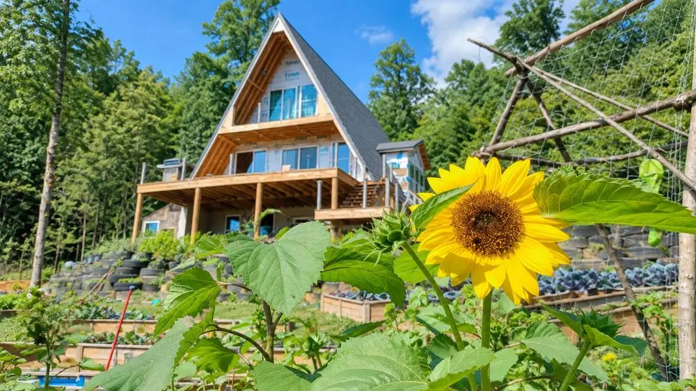 Vườn rau Việt ở Mỹ của chị Nguyễn Thị Mỹ Trinh tại Missouri giúp gia đình có rau củ quen thuộc, vơi nỗi nhớ quê hương.