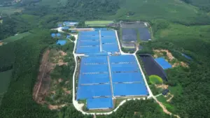 4 trang trại chăn nuôi lợn ở Thanh Hóa bị xử phạt vì vi phạm môi trường. Tìm hiểu mức phạt và các vi phạm liên quan.