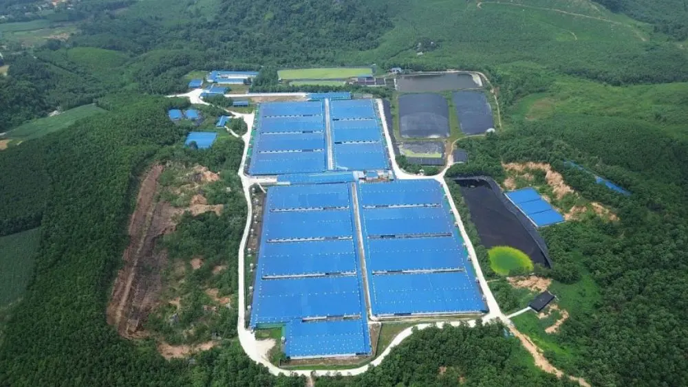 4 trang trại chăn nuôi lợn ở Thanh Hóa bị xử phạt vì vi phạm môi trường. Tìm hiểu mức phạt và các vi phạm liên quan.
